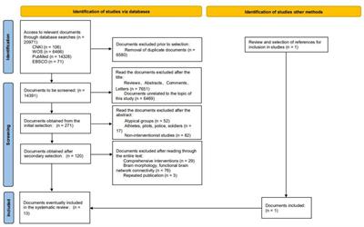 The frontal association area: exercise-induced brain plasticity in children and adolescents and implications for cognitive intervention practice